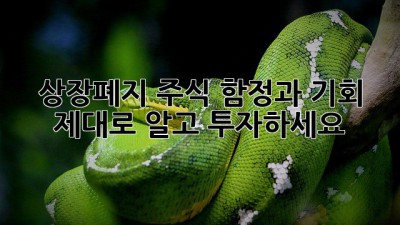 상장폐지 주식: 함정과 기회, 제대로 알고 투자하세요!