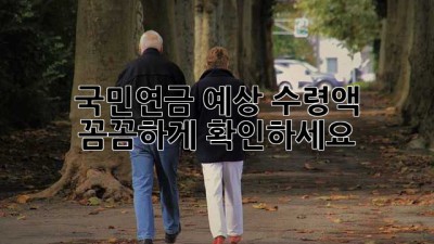 국민연금 예상 수령액, 꼼꼼하게 확인하세요!